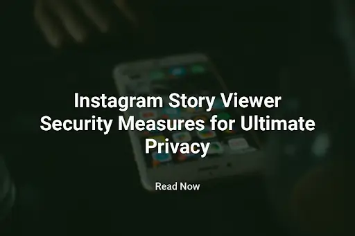 Instagram Story Viewer Security Measures