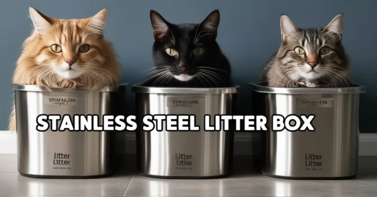 Stainless Steel Litter Box