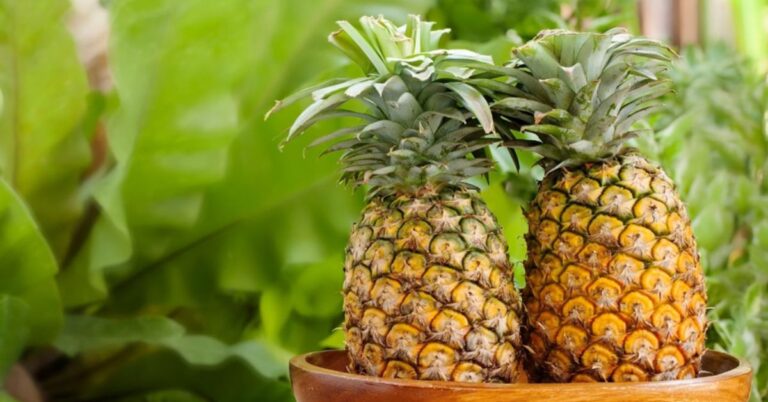 Benefits of Pineapple