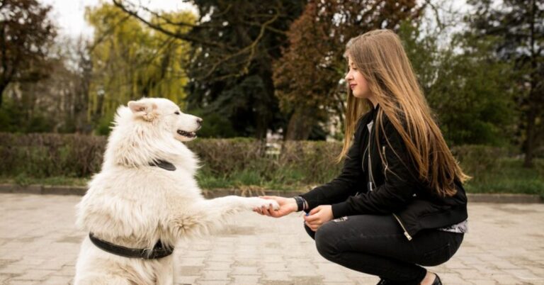 Communicating with Your Dog