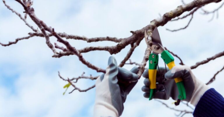 Minimizing Weather Damage