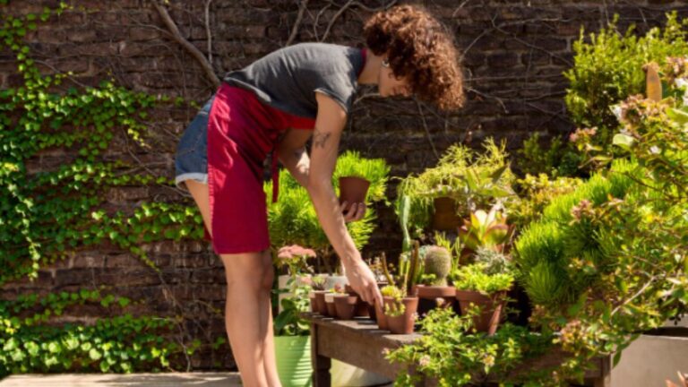 Garden Maintenance Routine
