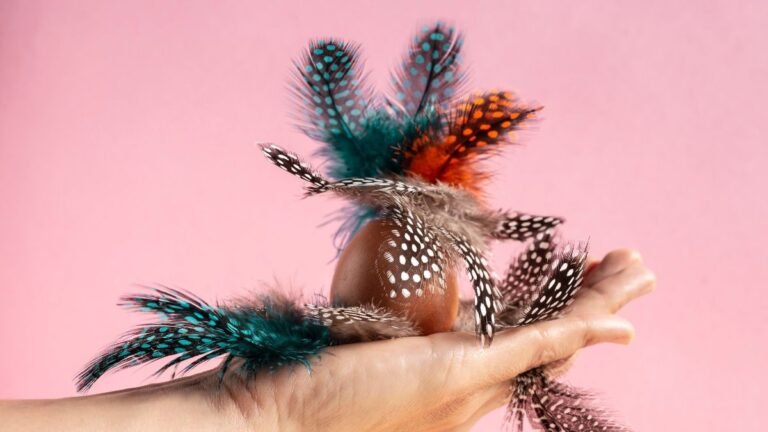 Ringneck Pheasant Feathers