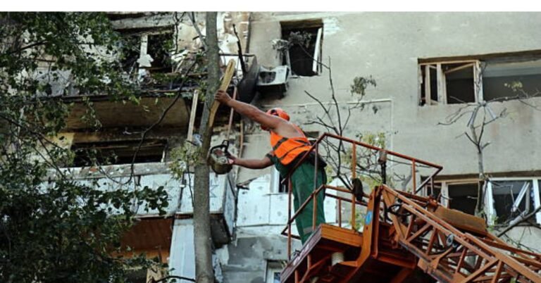 Mencer’s Tree Service